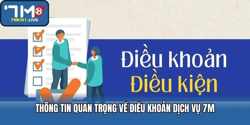 Thông tin quan trọng về điều khoản dịch vụ 7M