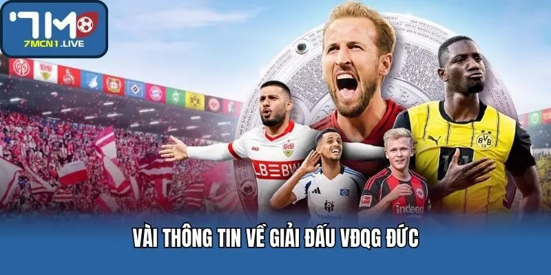 Vài thông tin về giải đấu VĐQG Đức